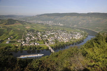 Naklejka premium Mosel bei Wolf und Kröv