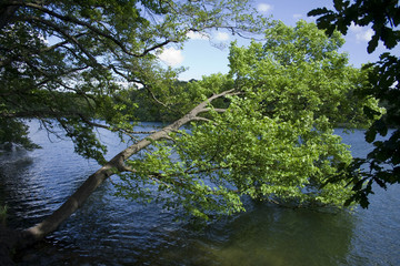 Berliner Seen Schlachtensee 1