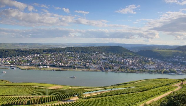 Foto Rhin Rhin Bilder – Durchsuchen 7,721 Archivfotos, Vektorgrafiken und Videos ...
