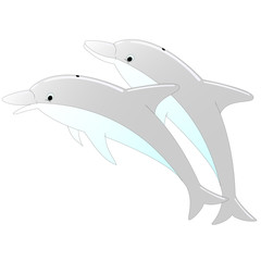 Deux dauphins
