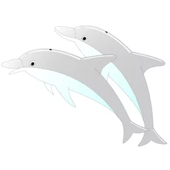 Papier Peint photo Lavable Dauphins Deux dauphins