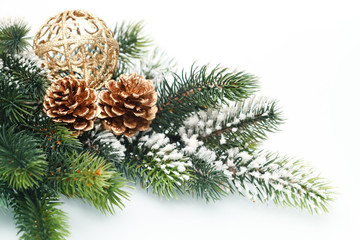 Fototapeta na wymiar Christmas decoration with Fir branch on white background
