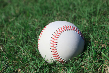 Baseball Field