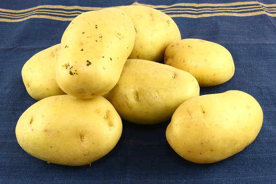 Yukon Gold Potatoes On A Blue Kitchen Towel