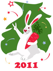 New Year postcard 2011, white bunny character