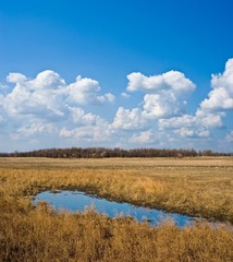 lake in a autumn steppe