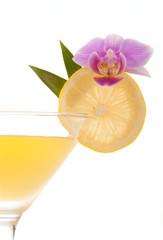 Fruity Martini