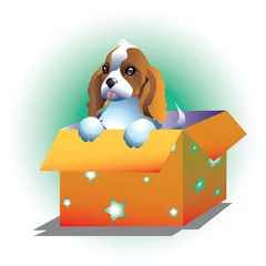 Foto op Canvas Lieve hond in doos © dannywilde