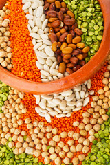 Legumes