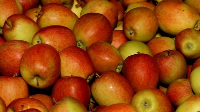 Red "Braeburn" Apples in a big Box