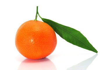 tangerine