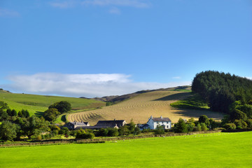 Fototapeta na wymiar Scena obszarów wiejskich w Yorkshire Dales