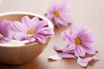 pink flowers in bowl