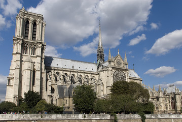 Fototapeta na wymiar Paryż, Katedra Notre Dame