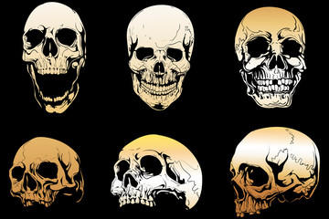 golden skull isolated on black background