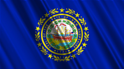 Obraz premium New Hampshire Flag