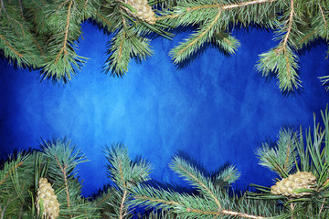 Blue  background with fir