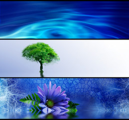 Abstract purification