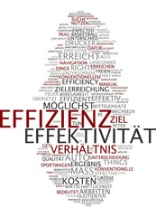 Effektivität und Effizienz