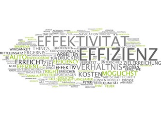 Effektivität und Effizienz