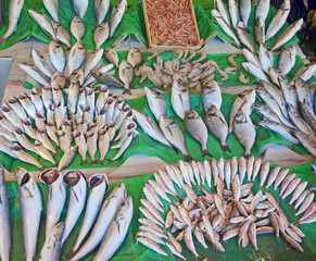 Fototapeta premium Fresh fish at a market