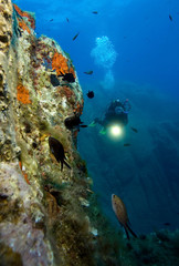 Plakat Underwater world. Divers and fishes