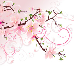 Obraz na płótnie Canvas vector cherry blossom