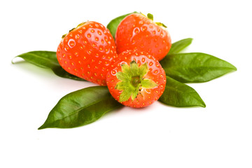 Fragole su foglie verdi