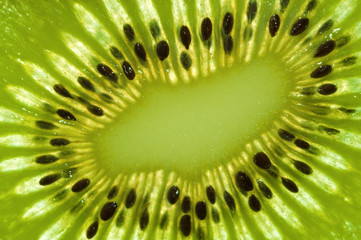 Kiwi Slice