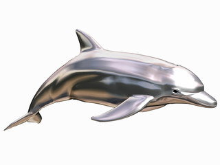 Fototapeta premium dolphin