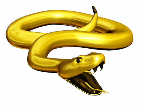 Snake