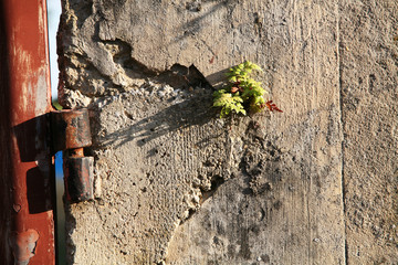 phildotofotolia 28