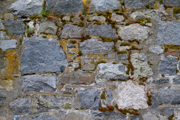 Stone wall with green moss