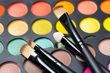 Professional makeup palette and brushes