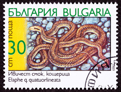 Bulgaria Stamp Coiled Four-Lined Rat Snake Elaphe Quatuorlineata