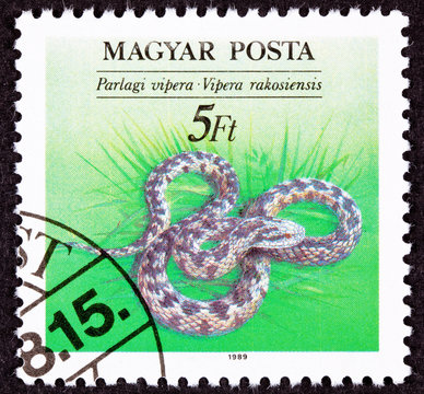 Hungarian Stamp Danubian Meadow Viper Vipera ursinii rakosiensis