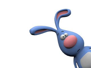 bonjour lapin © NJ