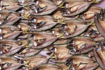 Dried fish on the market in Thailand