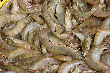 Shrimp stock