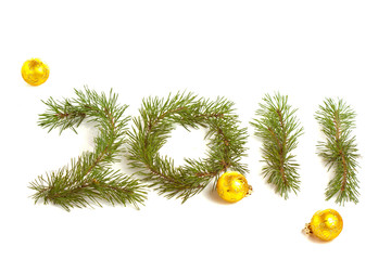 Fir branches 2011