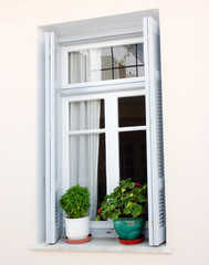 elegant house window and flower pots