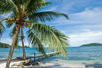 Plakat Island, Bocas del Toro, Panama.