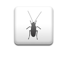 Boton cuadrado blanco cucaracha