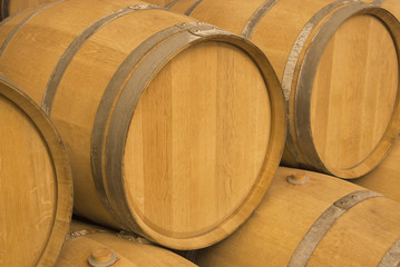 Wine barrels in cellar