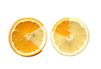 Lemon And Orange