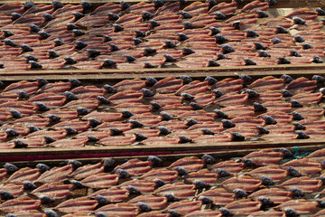 Fish drying on the beach in Nazare - Portugal