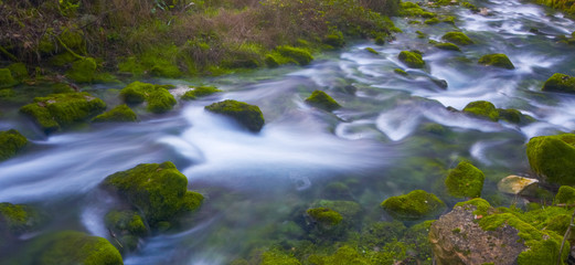 Naklejka premium Liz River Spring in Leiria - Portugal