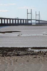 Fototapeta premium The Second Severn Crossing Viewed from the English Shore