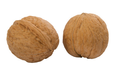 two whole walnuts