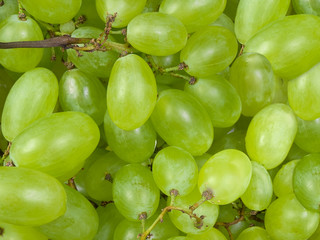 Grapes background